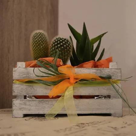 Bed & Breakfast Il Sorriso