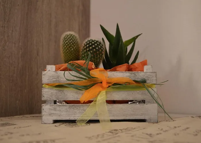 Bed & Breakfast Il Sorriso